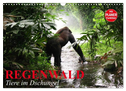 Regenwald. Tiere im Dschungel (Wandkalender 2025 DIN A3 quer), CALVENDO Monatskalender