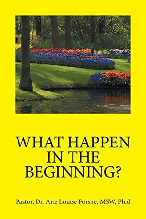 Forshe, Ph. d MSW Arie Louise. WHAT HAPPEN IN THE BEGINNING?. Xlibris, 2016.