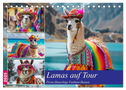 Lamas auf Tour. Perus flauschige Fashion-Ikonen (Tischkalender 2025 DIN A5 quer), CALVENDO Monatskalender