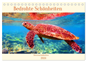 Meeresschildkröten - Bedrohte Schönheiten (Tischkalender 2024 DIN A5 quer), CALVENDO Monatskalender