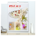 APOLLO UND CO (hochwertiger Premium Wandkalender 2025 DIN A2 hoch), Kunstdruck in Hochglanz