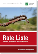 NaBiV Heft 170/12: Rote Liste und Gesamtartenliste der Hundertfüßer und Doppelfüßer