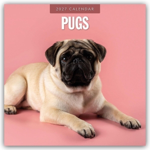 Red, Robin. Pugs - Mops 2027 - 16-Monatskalender - Original Red Robin Publishing Ltd-Kalender [Mehrsprachig] [Kalender]. Browntrout Verlags GmbH, 2026.