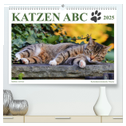 Katzen ABC (hochwertiger Premium Wandkalender 2025 DIN A2 quer), Kunstdruck in Hochglanz