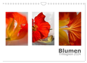 Blumen Trilogien (Wandkalender 2024 DIN A4 quer), CALVENDO Monatskalender