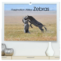 Faszination Afrika: Zebras (hochwertiger Premium Wandkalender 2024 DIN A2 quer), Kunstdruck in Hochglanz