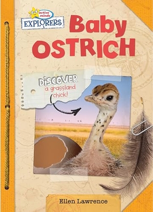 Lawrence, Ellen. Baby Ostrich. Phoenix International Publications, Inc., 2022.