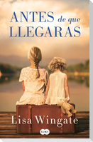 Antes de Que Llegaras / Before We Were Yours