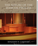 The Nature of the Judicial Process