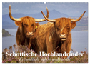 Schottische Hochlandrinder. Freundlich, schön und robust (Wandkalender 2025 DIN A2 quer), CALVENDO Monatskalender