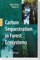 Carbon Sequestration in Forest Ecosystems