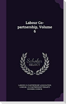 Labour Co-partnership, Volume 6