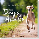 The Dogs of Avalon Lib/E: The Race to Save Animals in Peril
