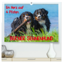 Ein Herz auf 4 Pfoten - Berner Sennenhund (hochwertiger Premium Wandkalender 2024 DIN A2 quer), Kunstdruck in Hochglanz