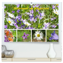 Blütenmeer am Wegesrand (hochwertiger Premium Wandkalender 2024 DIN A2 quer), Kunstdruck in Hochglanz