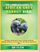 The Complete Guide to African Grey Parrot Bird