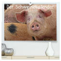 Der Schweinekalender (hochwertiger Premium Wandkalender 2024 DIN A2 quer), Kunstdruck in Hochglanz