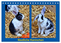 Niedliche Kaninchen (Tischkalender 2024 DIN A5 quer), CALVENDO Monatskalender