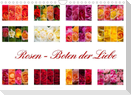 Rosen - Boten der Liebe (Wandkalender 2023 DIN A4 quer)
