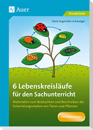 6 Lebenskreisläufe für den Sachunterricht
