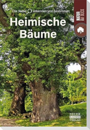Bäume