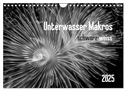 Unterwasser Makros - schwarz weiss 2025 (Wandkalender 2025 DIN A4 quer), CALVENDO Monatskalender