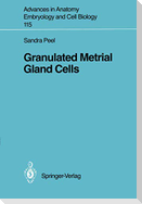 Granulated Metrial Gland Cells