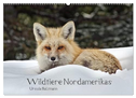 Wildtiere Nordamerikas (Wandkalender 2024 DIN A2 quer), CALVENDO Monatskalender