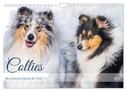 Collies - die schönsten Hunde der Welt (Wandkalender 2024 DIN A4 quer), CALVENDO Monatskalender