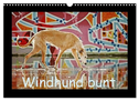 Windhund bunt (Wandkalender 2024 DIN A3 quer), CALVENDO Monatskalender