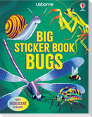 Big Sticker Book Bugs
