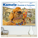 Kamele ¿ Dromedar & Trampeltier (hochwertiger Premium Wandkalender 2024 DIN A2 quer), Kunstdruck in Hochglanz
