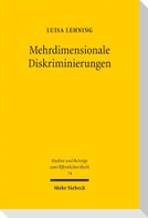 Mehrdimensionale Diskriminierungen
