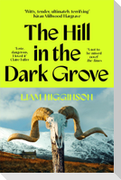 The Hill in the Dark Grove