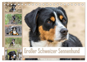 Großer Schweizer Sennenhund (Tischkalender 2024 DIN A5 quer), CALVENDO Monatskalender