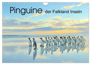 Weiss, Elmar. Pinguine der Falkland Inseln (Wandkalender 2024 DIN A4 quer), CALVENDO Monatskalender - Die tierischen Stars der Falkland Inseln: Pinguine!. Calvendo, 2023.