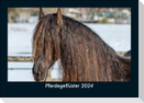 Pferdegeflüster 2024 Fotokalender DIN A5
