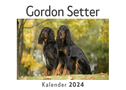 Gordon Setter (Wandkalender 2024, Kalender DIN A4 quer, Monatskalender im Querformat mit Kalendarium, Das perfekte Geschenk)
