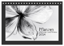Pflanzen in Schwarz und Weiss / CH-Version (Tischkalender 2024 DIN A5 quer), CALVENDO Monatskalender