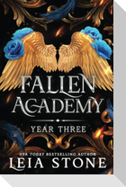 Fallen Academy: Year Three