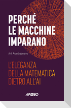 Perché le macchine imparano. L'eleganza della matematica dietro all'AI