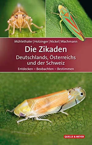 Mühlethaler, Roland / Holzinger, Werner E. et al. Die Zikaden Deutschlands, Österreichs und der Schweiz - Entdecken - Beobachten - Bestimmen. Quelle + Meyer, 2018.