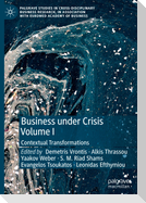 Business Under Crisis Volume I