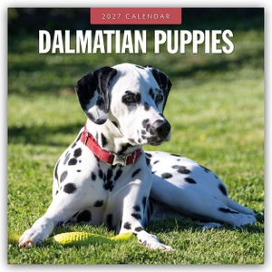 Red, Robin. Dalmatian Puppies - Dalmatiner Welpen 2027 - 16-Monatskalender - Original Red Robin Publishing Ltd-Kalender [Mehrsprachig] [Kalender]. Browntrout Verlags GmbH, 2026.