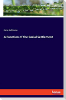 A Function of the Social Settlement