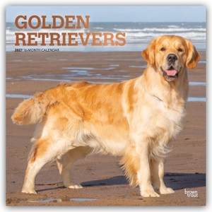 Publishers, Browntrout. Golden Retrievers - Golden Retriever 2027 - 16-Monatskalender - Original BrownTrout-Kalender [Mehrsprachig] [Kalender]. Browntrout Verlags GmbH, 2026.
