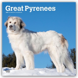 Publishers, Browntrout. Great Pyrenees - Pyrenäenberghund 2027 - 16-Monatskalender - Original BrownTrout-Kalender [Mehrsprachig] [Kalender]. Browntrout Verlags GmbH, 2026.