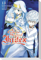 A Certain Magical Index, Vol. 13 (light novel)
