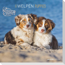 Welpen 2025 - Broschürenkalender 30x30 cm (30x60 geöffnet) - Kalender mit Platz für Notizen - Puppies - Hundekalender - Bildkalender - Wandkalender