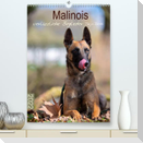 Malinois verlässliche BegleiterCH-Version  (Premium, hochwertiger DIN A2 Wandkalender 2022, Kunstdruck in Hochglanz)